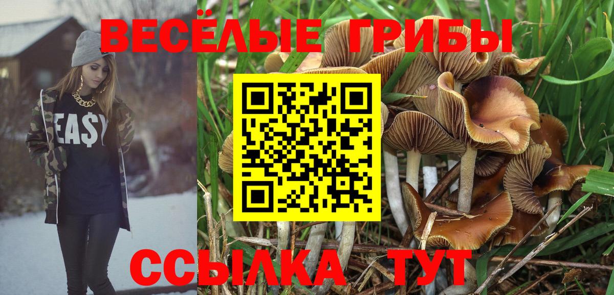 Галлюциногенные грибы Magic Shrooms Щёкино