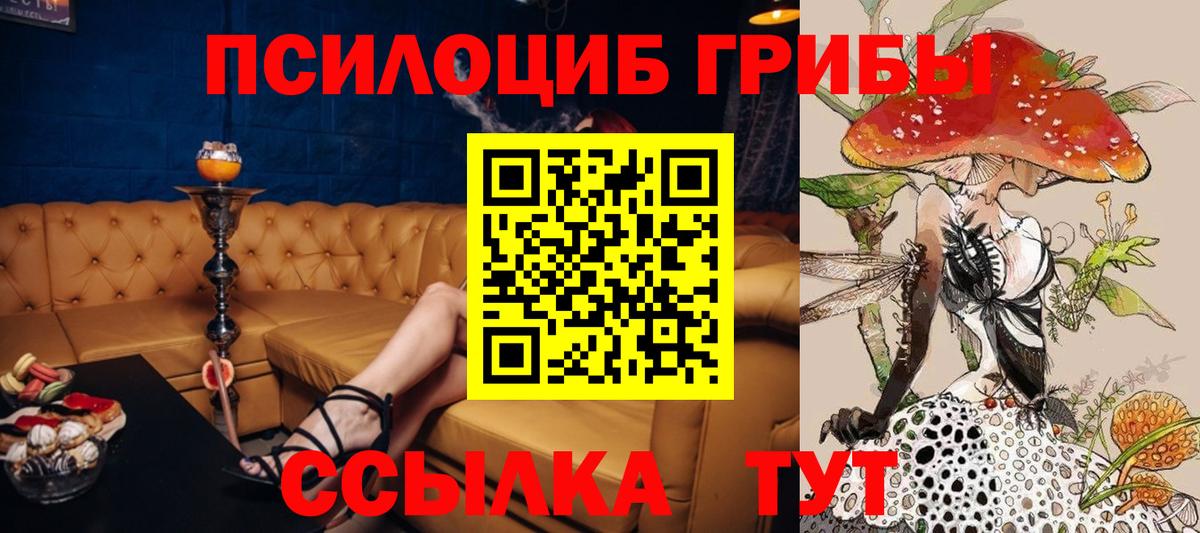 Псилоцибиновые грибы Psilocybe  Вход с VPN  Щёкино  Галлюциногенные грибы Psilocybe 